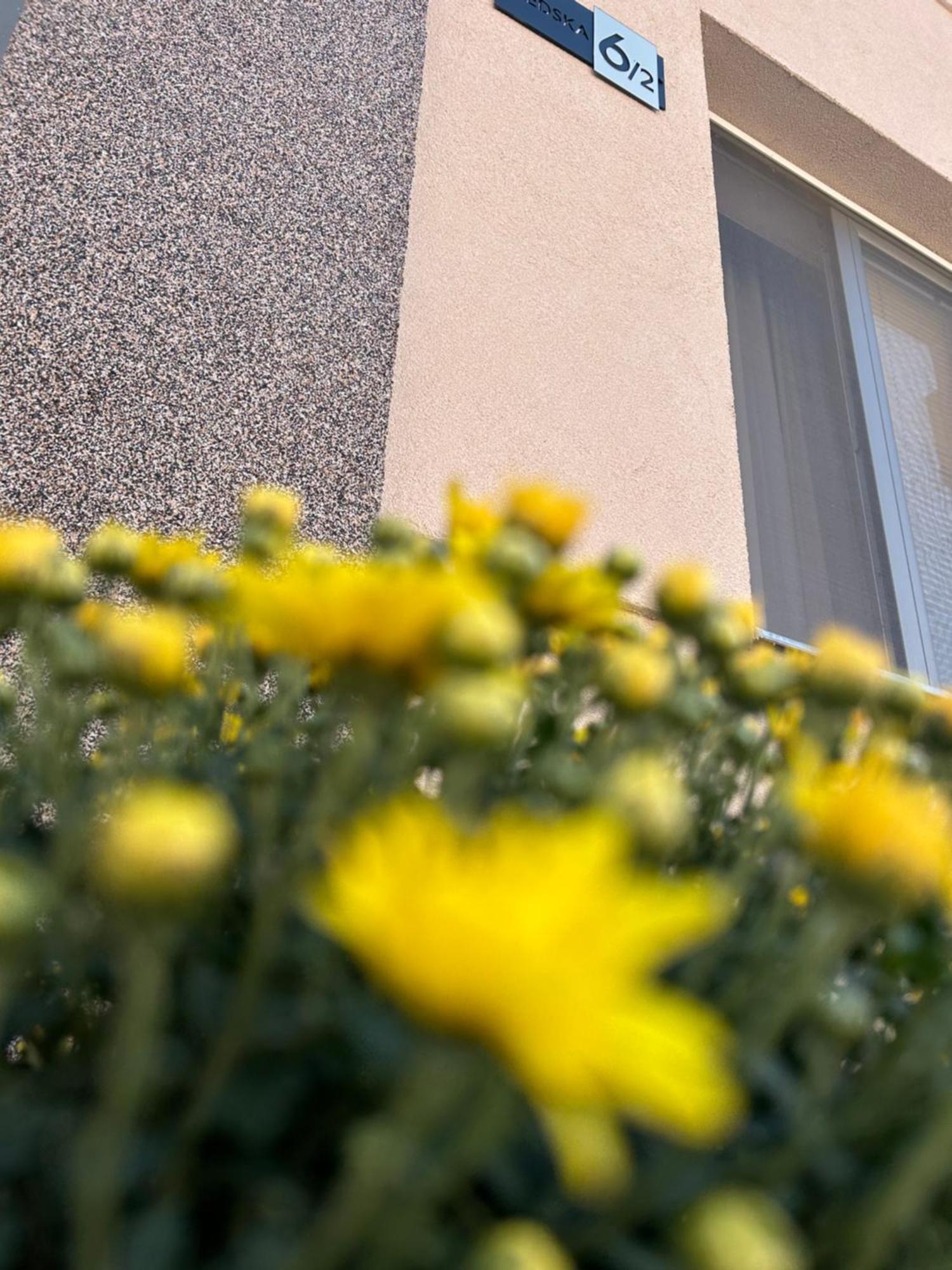 Apartman Tara Суботица Екстериор снимка